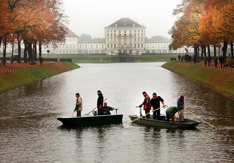 Die Karpfen im Nymphenburger Kanal haben jetzt Winterpause.