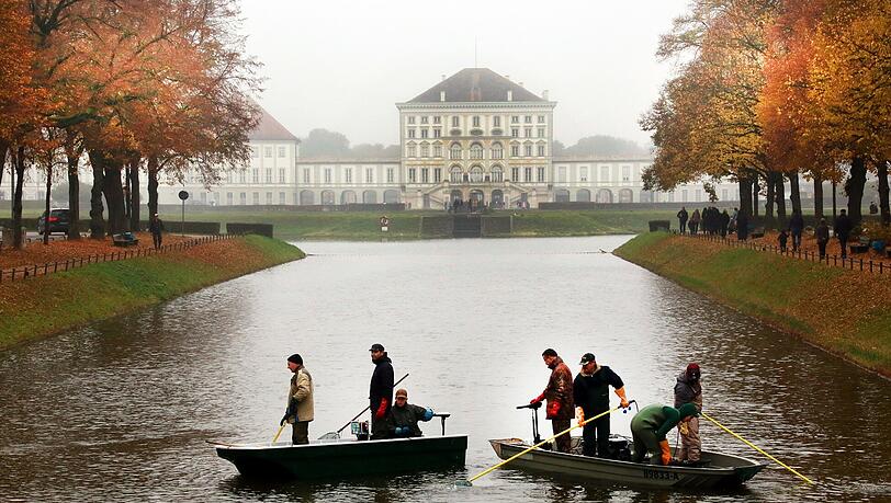 Die Karpfen im Nymphenburger Kanal haben jetzt Winterpause. Die Karpfen im Nymphenburger Kanal haben jetzt Winterpause.