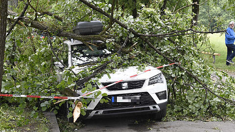 Ein umgestürzter Baum in der Schleißheimer Straße demolierte ein Auto.