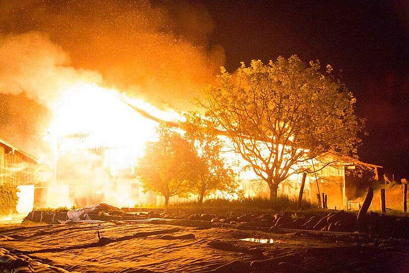 Die Bilder vom Stallbrand in Taching am See.