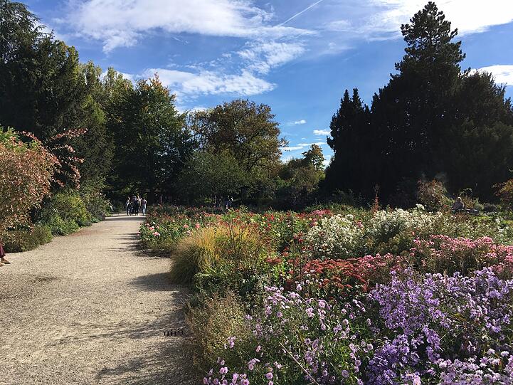 Im Rosengarten ist es richtig schön grün.