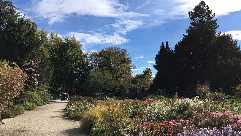 Im Rosengarten ist es richtig schön grün.