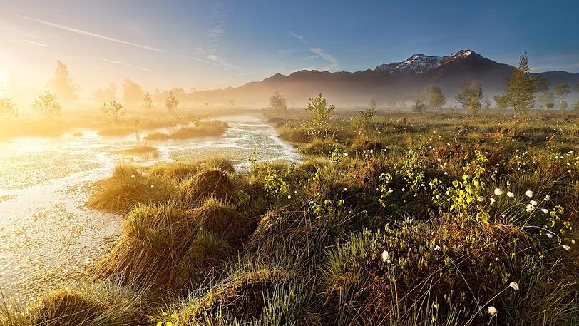 Platz 1: Das Gewinner-Foto namens "Das Moor erwacht zu neuem Leben" wurde in Kendlmühlfilzen, Traunstein, von Florian Knülle geschossen