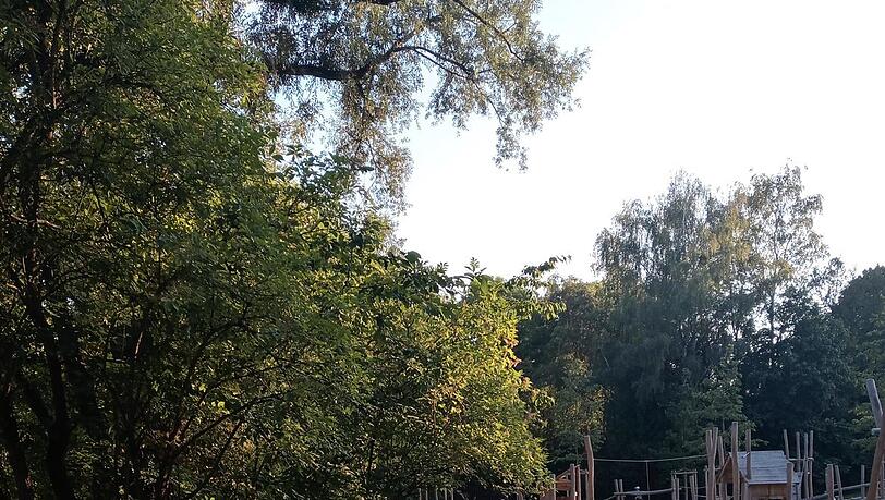 Prima Freizeit-Angebot für Familien: der große Kinderspielplatz, falls der Nachwuchs mal Abwechslung braucht. Prima Freizeit-Angebot für Familien: der große Kinderspielplatz, falls der Nachwuchs mal Abwechslung braucht.