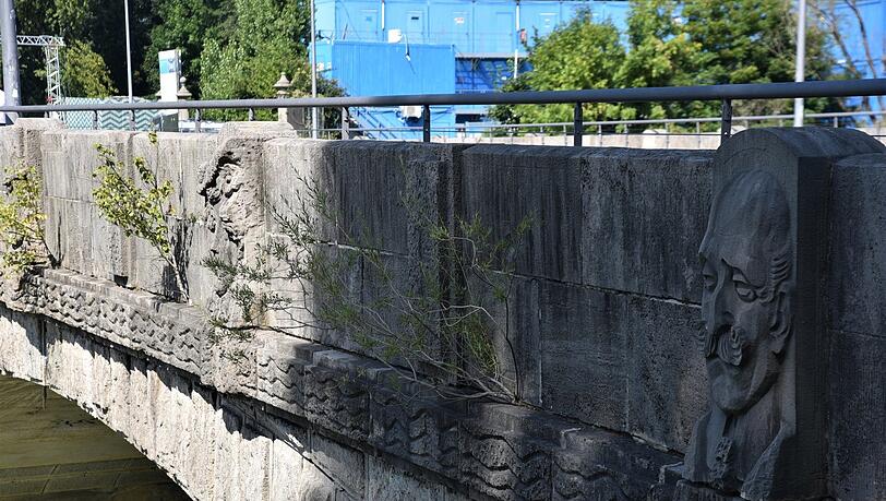An der Corneliusbrücke wachsen gleich mehre Pflanzen. An der Corneliusbrücke wachsen gleich mehre Pflanzen.