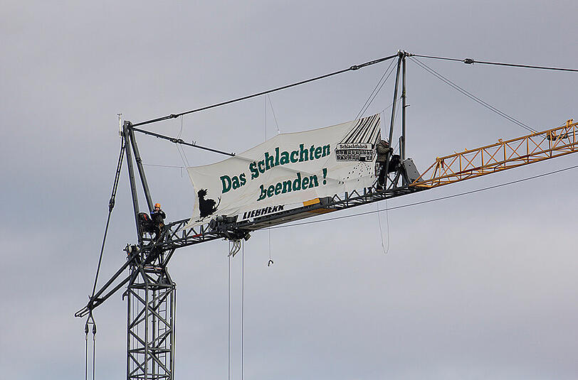 Seit Montagmorgen ist die Baustelle der Wiesenhof Schlachtfabrik besetzt.