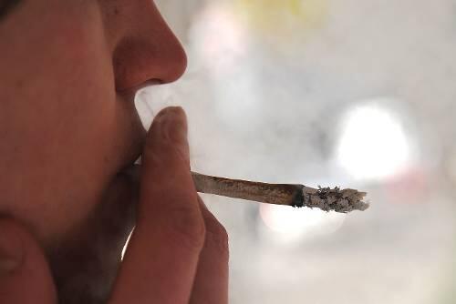 Es hat sich ausgequalmt: &bdquo;Spice&ldquo;, das Räucherwerk, wurde von Insidern verwendet wie Marihuana &ndash; in Tabak gerollt und geraucht.