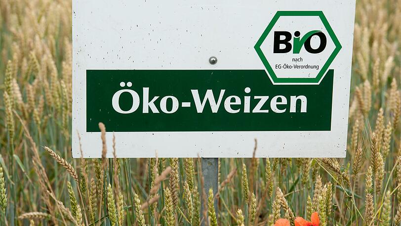 Der Ökolandbau ist in Bayern trotz gesetzlich festgelegter Ausbauziele noch immer eher die Ausnahme als die Regel. (Archivbild)