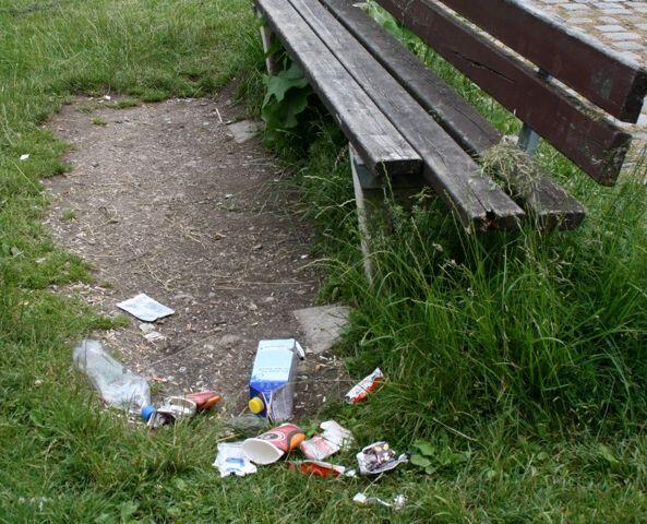 Hier hat jemand seinen Müll ins Gras geworfen - neben einem Abfalleimer.