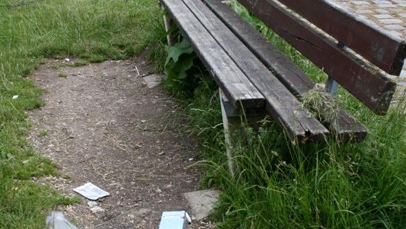 Hier hat jemand seinen Müll ins Gras geworfen - neben einem Abfalleimer. Hier hat jemand seinen Müll ins Gras geworfen - neben einem Abfalleimer.