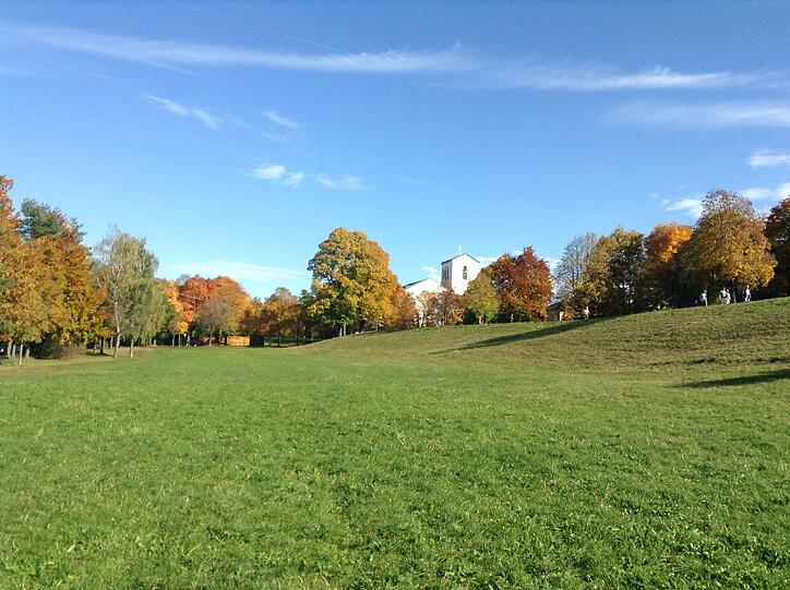 Goldener Oktober in Harlaching
