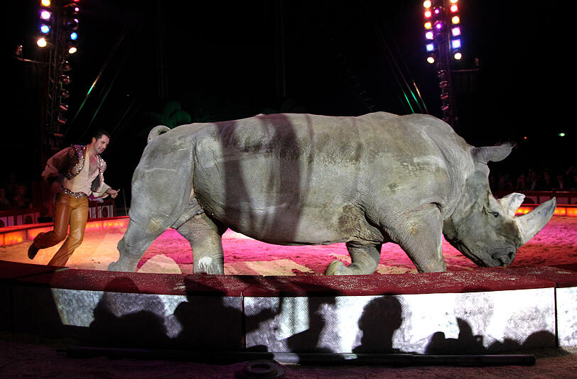Die Bilder von der großen Circus-Krone-Premiere