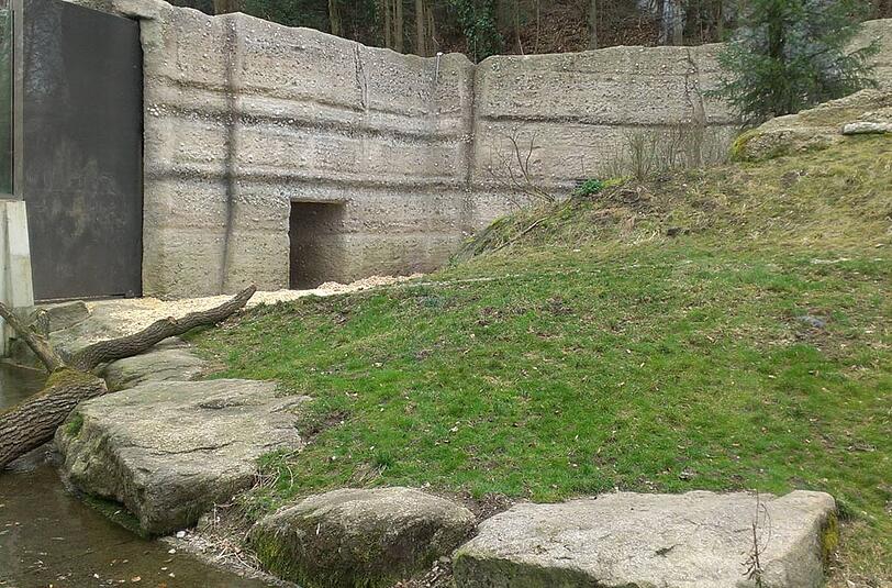 Hier werden sie gleich rauskommen. Das Eisbärgehege in Hellabrunn.