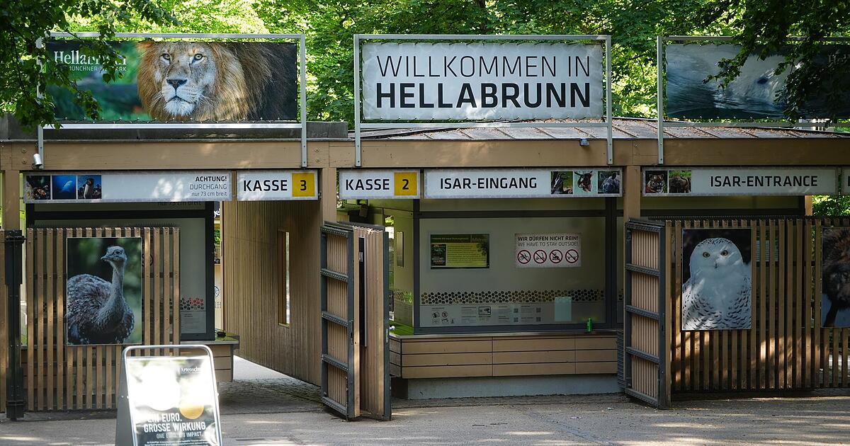 The wild hope of Munich's Hellabrunn Zoo: A generous check saves the ...