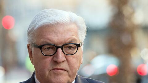 Frank Walter Steinmeier will Wladimir Putin nicht zum G7-Gipfel in Deutschland einladen