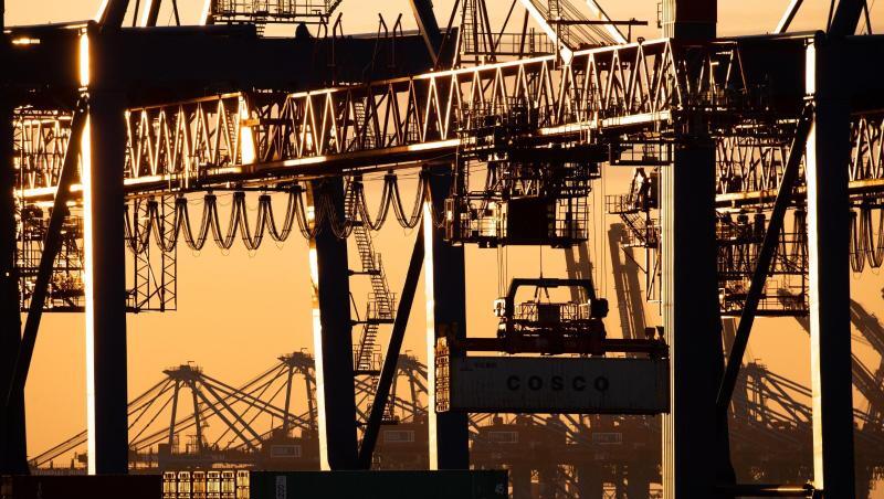 Containerumschlag im Hamburger Hafen: Besonders die exportorientierte deutsche Industrie hat ein hartes Jahr hinter sich. Containerumschlag im Hamburger Hafen: Besonders die exportorientierte deutsche Industrie hat ein hartes Jahr hinter sich.