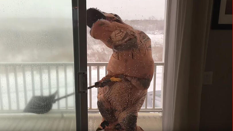 Dinos haben es schwer beim Schneeschaufeln: Sind sie deshalb ausgestorben?