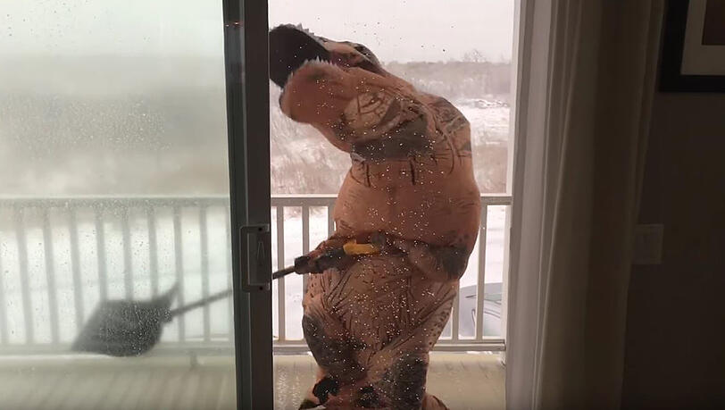 Dinos haben es schwer beim Schneeschaufeln: Sind sie deshalb ausgestorben? Dinos haben es schwer beim Schneeschaufeln: Sind sie deshalb ausgestorben?