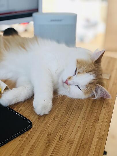 Mimi