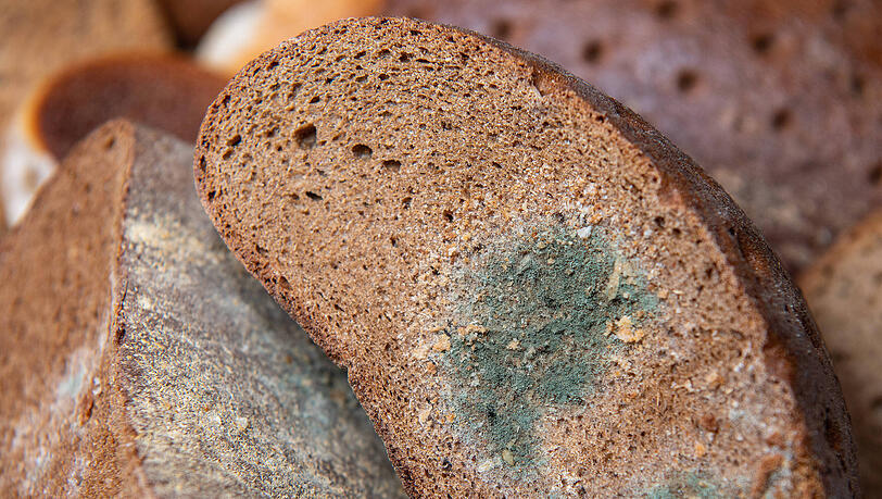 Verschimmeltes Brot (Symbolbild). Laut Recherchen von "Stern" und "RTL" soll die Supermarktkette Kaufland Probleme mit Schimmel in Lebensmittelnähe haben.