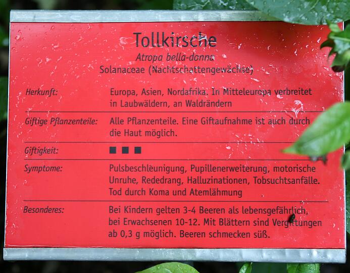 Auflösung siehe Tafel