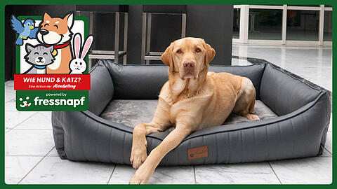 Schicken Sie uns das schönste Foto Ihrer tierischen Freunde und gewinnen Sie einen dieser exklusiven Preise von Fressnapf.