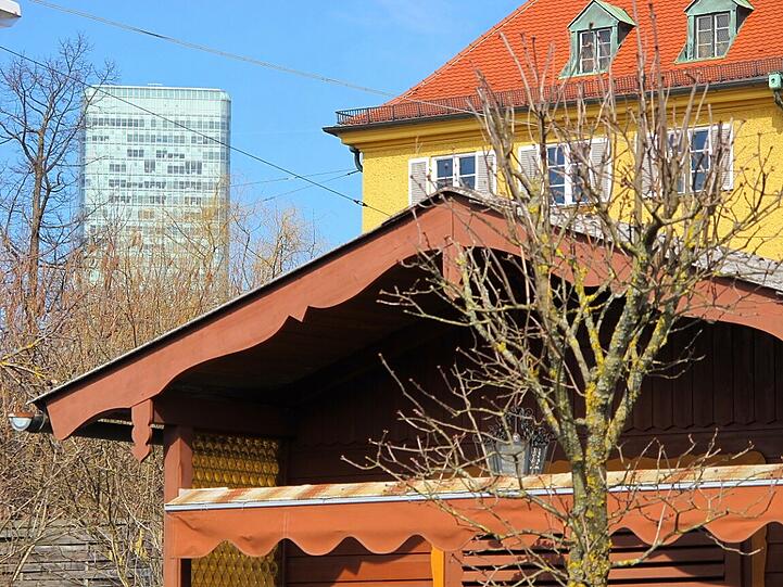 AZ-Leser Djordje Matkovic hat in der Gartenlaube in Moosach die Frühlingsboten fotografiert. Die Bilder.
