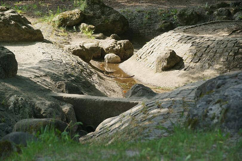 Hier sammelt sich nur ein bisschen Regenwasser.