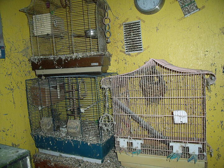 Zu kleine Käfige, alles vermüllt: die Wohnung, in der 113 Tiere lebten. Animal Hoarder bringen das Nürnberger Tierheim an seine Grenzen.