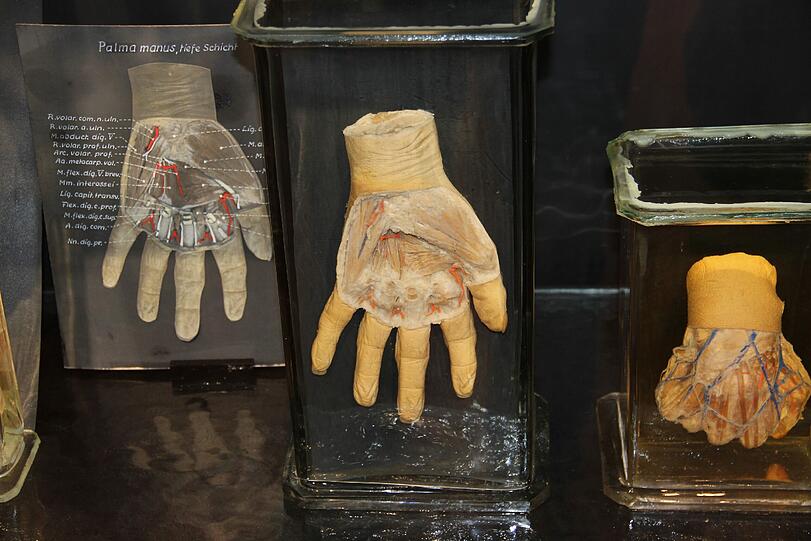 Und der Hand