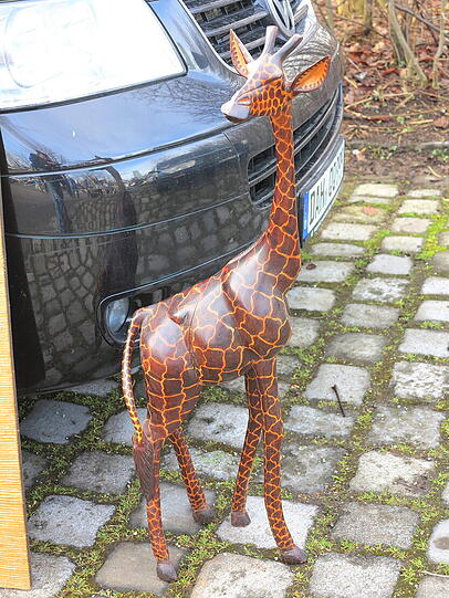 Dieses Foto trägt den Titel "Giraffe auf der Flucht aus Dänemark".