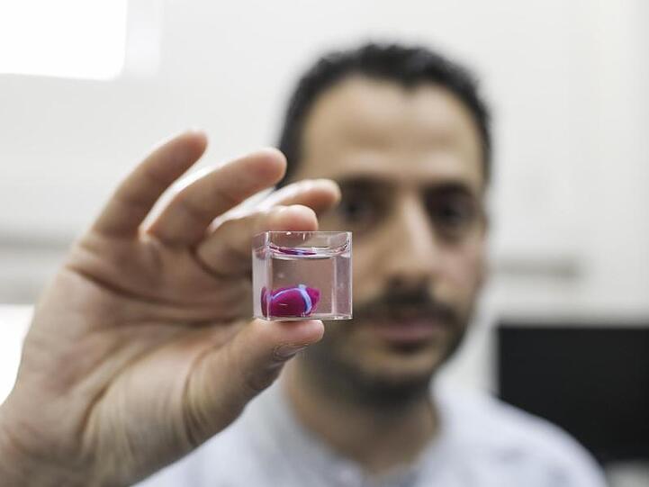 Der Prototyp, dessen Zellen sich noch nicht synchron zusammenziehen können, hat in etwa die Größe eines Hasenherzens.