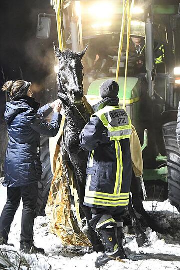 Eine Reiterin war am Montagnachmittag mit der Stute Shakira ausgeritten und dann nahe der Mündung in den Staudhamer See mit dem Tier in das Eis eines zufließenden Baches eingebrochen.