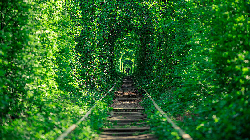 Bei der traumhaften Märchenkulisse im "Tunnel der Liebe" können Venedig und Paris einpacken...
