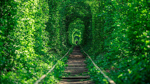 Bei der traumhaften Märchenkulisse im "Tunnel der Liebe" können Venedig und Paris einpacken...