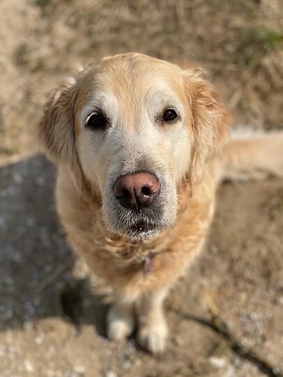 Meggie
