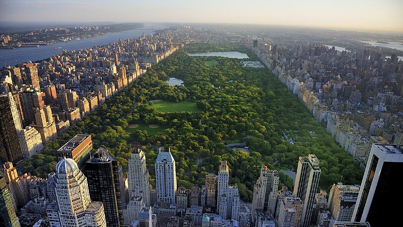 Im Central Park ist ein Mann schwer verletzt worden. Im Central Park ist ein Mann schwer verletzt worden.