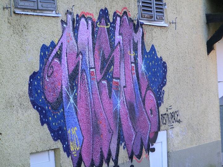 Graffiti-Künstler haben im Harthof Abrisshäuser gekonnt verschönert.