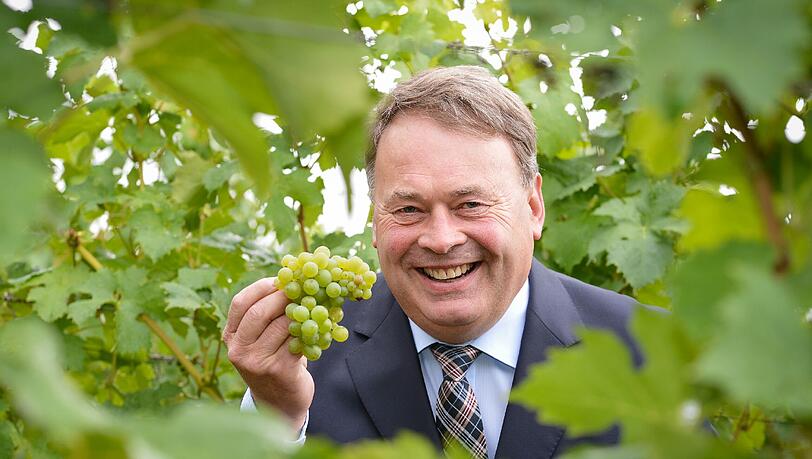 Ist peinlich berührt: Bayerns Landwirtschaftsminister Helmut Brunner (CSU), hier bei einer Weinlese. Ist peinlich berührt: Bayerns Landwirtschaftsminister Helmut Brunner (CSU), hier bei einer Weinlese.