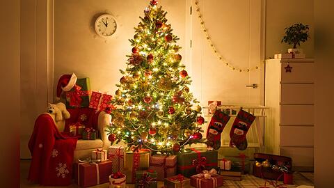 Smartphone, Konsole oder Lautsprecher? Worüber sich Technikbegeisterte unter dem Weihnachtsbaum freuen.