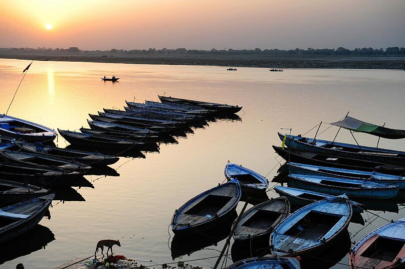 Ein Straßenhund streunt am Ufer des Ganges im indischen Varanasi. Der Ganges ist der heiligste Fluss für die Hindus. Gleichzeitig gilt er als einer der am meisten verschmutzten Ströme der Erde.