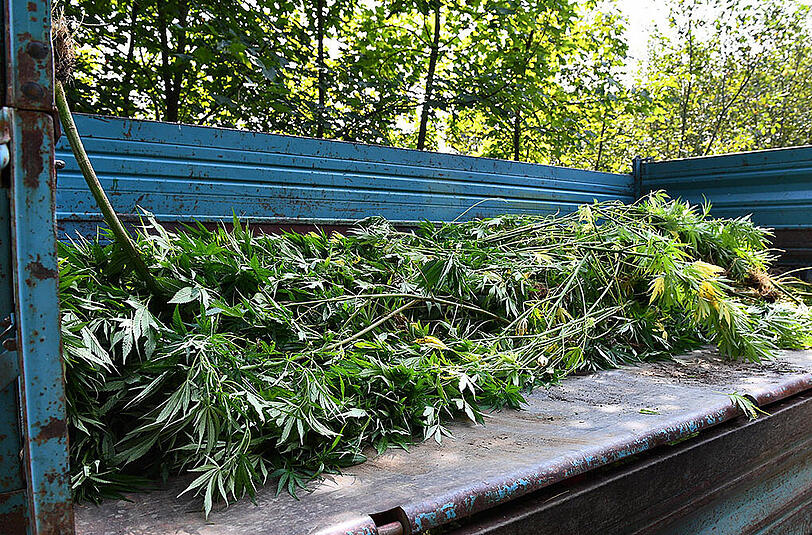 Ungewöhnlicher Feuerwehreinsatz: Im Landkreis Traunstein musste eine Cannabisplantage sichergestellt werden.