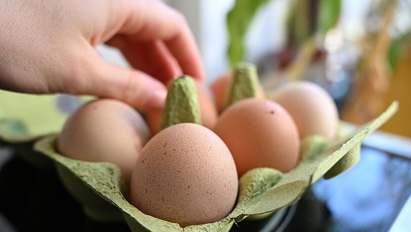 Einen Notstand bei der Eier-Versorgung gibt es nicht - aber Lücken in den Regalen der Händler. (Symbolbild) Einen Notstand bei der Eier-Versorgung gibt es nicht - aber Lücken in den Regalen der Händler. (Symbolbild)