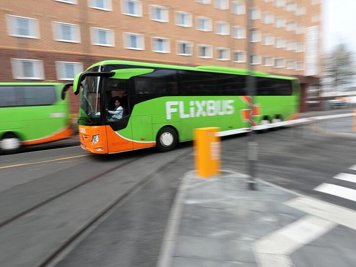 Busse des Fernbusanbieters FlixBus fahren vorbei. Foto: Lukas Görlach/Archivbild