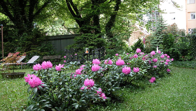 Gepflegtes gehegtes Garten-Idyll: So sah der Innenhof der Mauerkircherstra&szlig;e 17 und 19 vor dem Betretungsverbot im Juli 2022 aus.