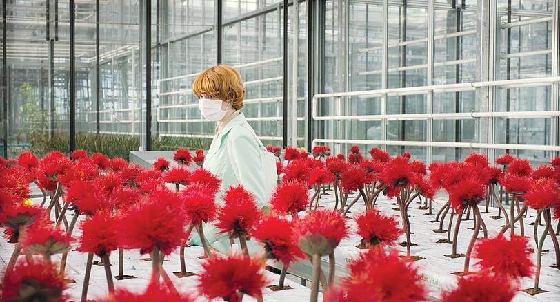Emily Beecham als besessene Pflanzengenetikerin im unheimlichen Forschungsgewächshaus.