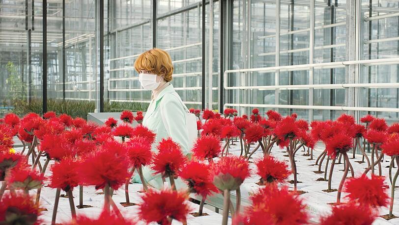 Emily Beecham als besessene Pflanzengenetikerin im unheimlichen Forschungsgewächshaus. Emily Beecham als besessene Pflanzengenetikerin im unheimlichen Forschungsgewächshaus.