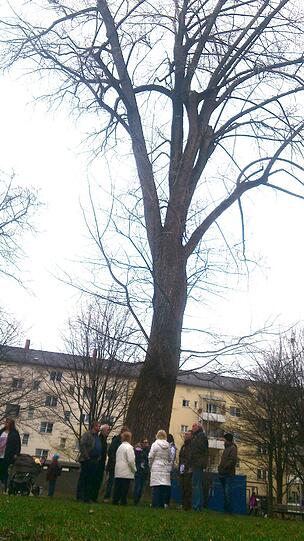 Schon in zwei Wochen soll hier gepflanzt werden.