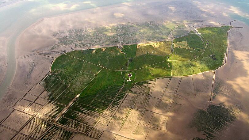 Keine Oase in der Sahara, eine Hallig bei Ebbe in der Nordsee.