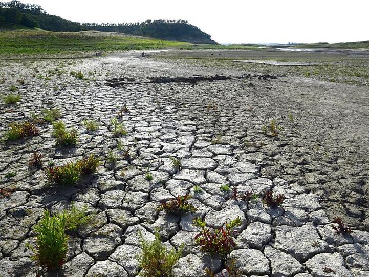 Wassermangel in Kalifornien: Der US-Bundesstaat leidet unter den Folgen des Klimawandels.